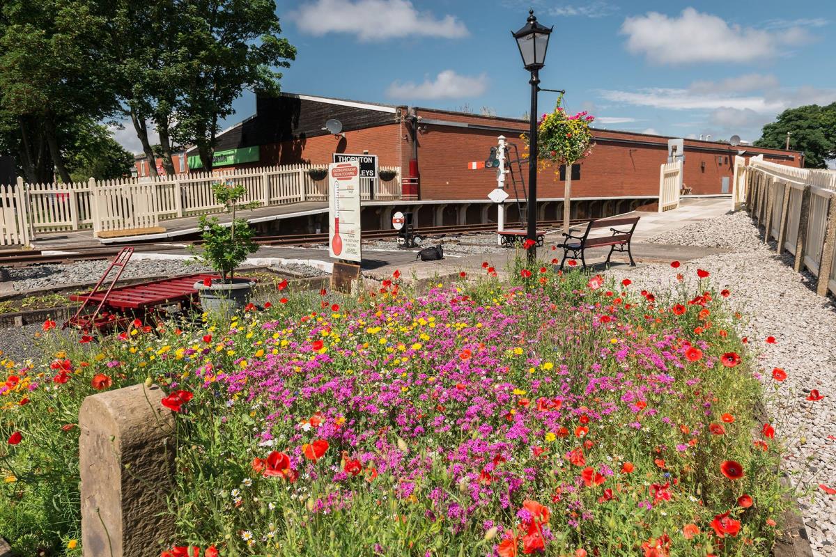 View of Thornton Station in bloom from the crossing.