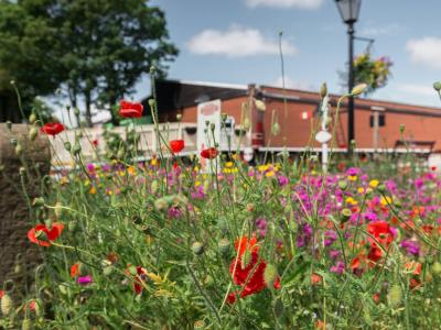 PWRS in Bloom!